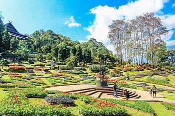 A beautiful botanical garden with blooming flowers, sculpture, and scenic walking paths under a bright blue sky. HD wallpaper
