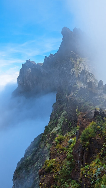 Madeira travels, Mountain trails, Above the clouds, Sunny afternoon HD phone wallpaper