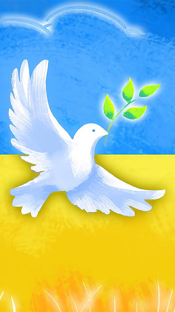 Ukraine, feather, symbol, dove, peace, ukrainians HD phone wallpaper