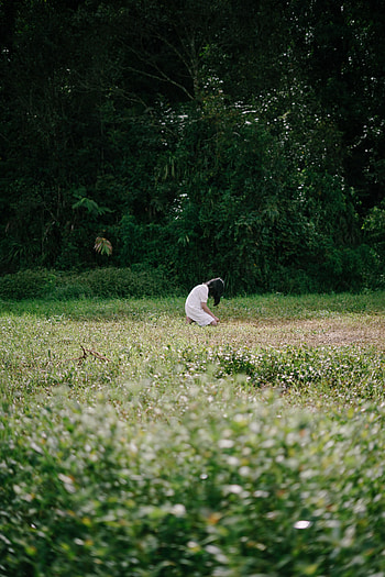 Trees, Grass, Miscellanea, Miscellaneous, Field, Sadness, Girl, Loneliness, Sorrow HD phone wallpaper