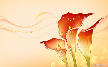 Calas, abstract, painting, art, flower HD wallpaper