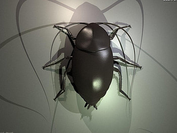 bug, nature, bugs HD wallpaper