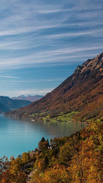 Mountains , Water and forest, Os 8164, Serene nature HD phone wallpaper