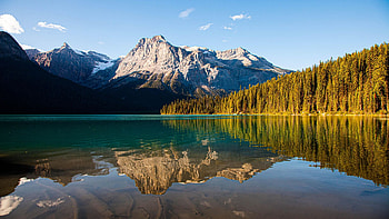 Reflections on Emerald Lake, Yoho National Park, British Columbia, mountains, water, canada, trees, sky, forest HD wallpaper