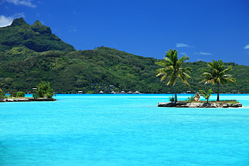 Nature, Palms, Tropics, Island HD wallpaper