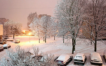 Auto, Winter, Nature, Trees, Snow, Lights, Shine, Light, Lanterns, Courtyard, Yard HD wallpaper