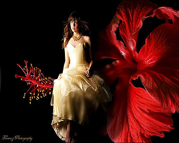 SEATTING ON FLOWER, flower, seatting, red, beautiful, seat, woman HD wallpaper
