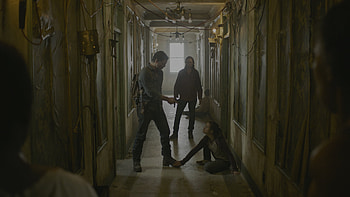 The Last of Us (2023), TV Show, The Last Of Us HD wallpaper