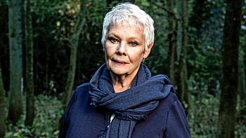 Judi Dench, Movies, Virtual reality, PCGamesN HD wallpaper