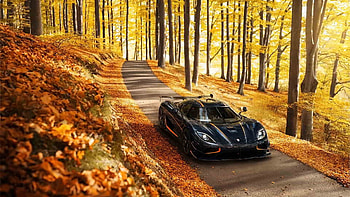 Koennigsegg, black cars, cars, nature, vehicles HD wallpaper