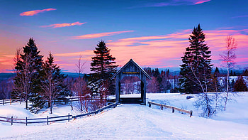 Snow At The Bridge, river, landscape, winter, road, trees HD wallpaper