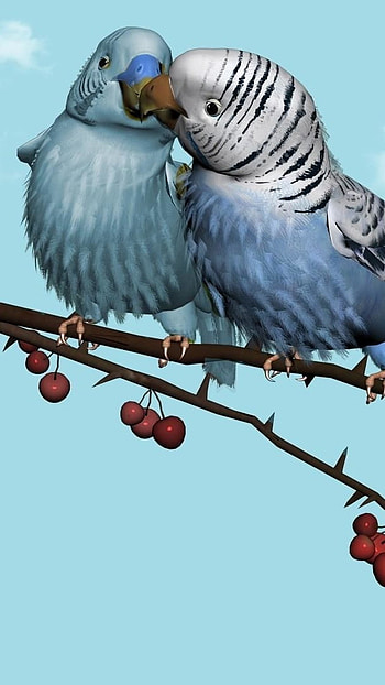 Love Birds, Anime, Digital Art HD phone wallpaper