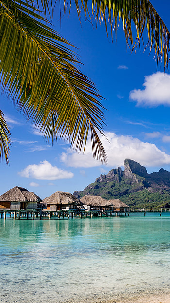 French Polynesia beauty, Captivating , Tropical paradise, Exotic destinations HD phone wallpaper