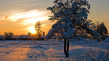 Winter, Nature, Sunset, Sun, Snow, Shine, Light, Wood, Tree, Brilliance, Present, Nast HD wallpaper