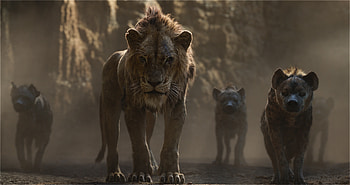The Lion King 2019 Scar, the-lion-king, lion, 2019-movies, movies, disney HD wallpaper