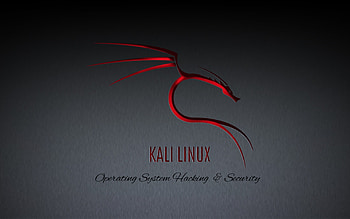 kali linux | UP HD wallpaper