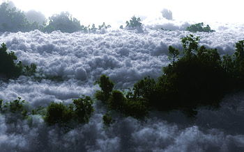 Fog, landscape, clouds, sky, beautiful, nature, amazing, forest HD wallpaper