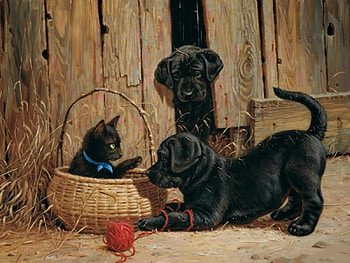 Nosy Neighbors, dog, puppy, cat, Nosy, Neighbors HD wallpaper