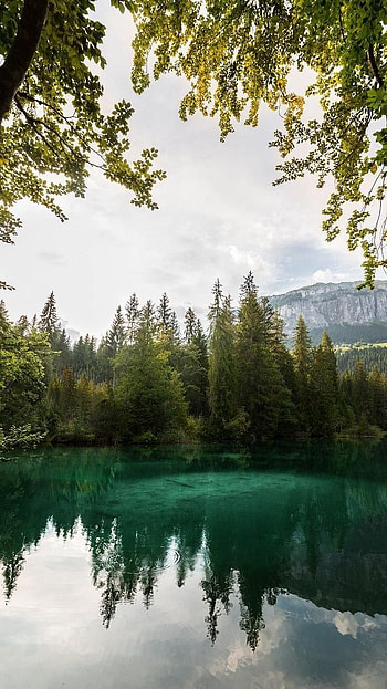 Nature, Beautiful HD phone wallpaper