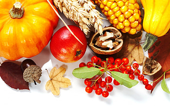 *** Autumn colors ***, vegetables, colors, autumn, fruits, food HD wallpaper