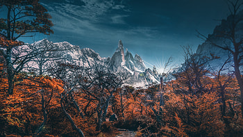 Snowy Mountains Trees Landscape , mountains, snow, landscape, trees, nature HD wallpaper