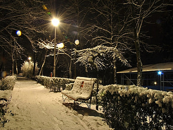 Winter, Night, Light, Snow HD wallpaper