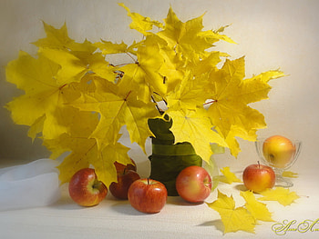 Plants, Food, Leaves, Apples, Bouquets, Still Life HD wallpaper