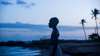 Moonlight (2022) movie HD wallpaper