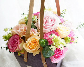 Beautiful Flowers, blowers, bloom, roses, petals HD wallpaper