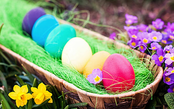 Best Easter , quality, Festive celebration, Joyful moments HD wallpaper