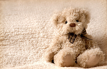 Teddy Bear, Miscellanea, Miscellaneous, Bear, Toy, Plush HD wallpaper