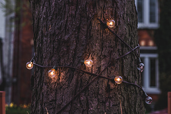 Miscellanea, Miscellaneous, Wood, Tree, Lamp, Garland, Bark, Lamps, Trunk HD wallpaper