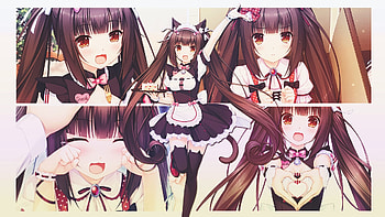 | Background ID:845088. Anime Nekopara HD wallpaper