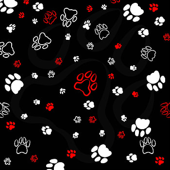 Art, Patterns, Traces, Paws HD phone wallpaper