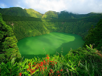 Green view, green, view, sky, nature, flowers, grass, mountain HD wallpaper