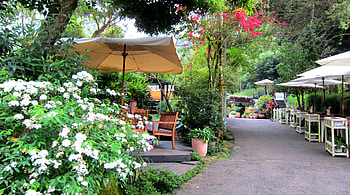 The restaurant on the hill, restaurant, on the hill, flowers, wooden tables and chairs HD wallpaper