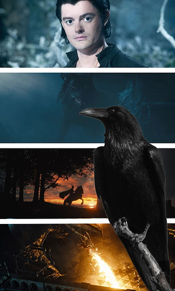 Favorite Character, Diaval Maleficent Movie, Disney Fantasy HD phone wallpaper