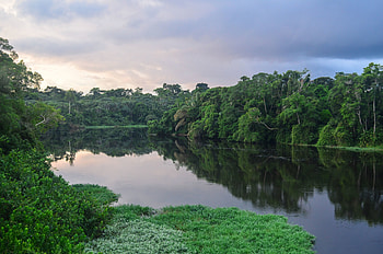 Gabon travels, Gabon Gaborone, Gaborone declaration, Declaration for sustainability HD wallpaper