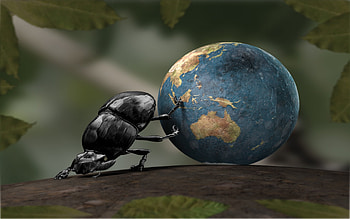 Funny, Insects, Art, Planets HD wallpaper