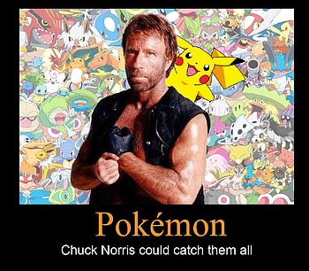 chuck norris, norris, chuck, chucknorris, pokemon HD wallpaper