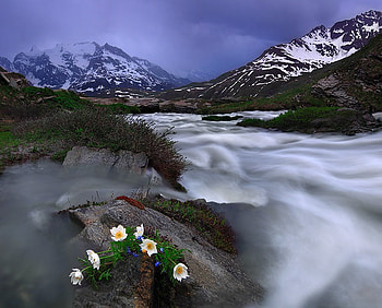 Mountains River Flowers, blue, river, art , white, wild flowers, beautiful, mountains, rock HD wallpaper