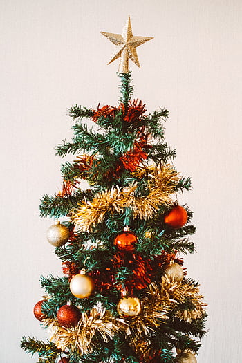 Decorated Christmas tree with star on top, featuring red and gold ornaments. HD phone wallpaper