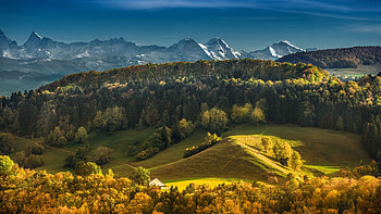 Bernese Alps, Switzerland, hills, forest, peaks, trees, landscape, autumn HD wallpaper