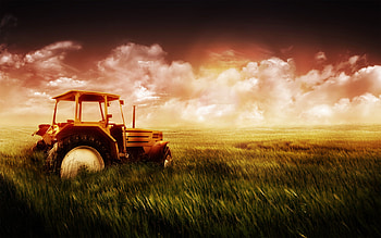 The truck in the grass, grass, sky, green, truck HD wallpaper