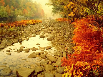 Journey through America: Tennesse, river, nature, tennesse, america, beauty, stream HD wallpaper