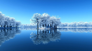 Winter, winter, nature HD wallpaper