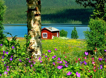 Riverbank house, river, place, house, beautiful, grass, nice, summer, quiet, shore, trees, greenery, nature, flowers, riverbank, lovely HD wallpaper