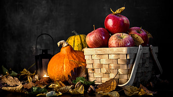 Autumn Harvest, autumn, fruit, apples, harvest HD wallpaper