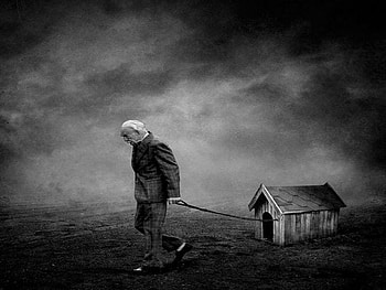 walkin the dog house, u, e, s, o, dog h HD wallpaper