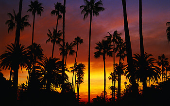 California, Sunrise , Stunning views, Beaches and palm trees HD wallpaper